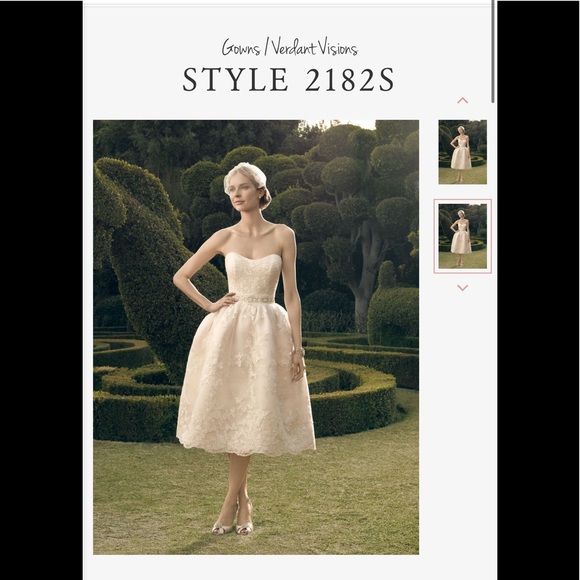 Casablanca wedding dress - Picture 3 of 14